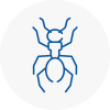 Ant Removals In Saddleworth