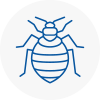 Bed Bug Extermination In Saddleworth
