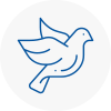 Bird Prevention Saddleworth
