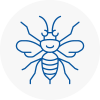 Saddleworth Hornet Nest Removals