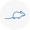 Mice Exterminators In Saddleworth