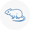 Rat Control Saddleworth