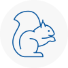 Saddleworth Rodent Removals