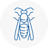 Saddleworth Wasp Nest Removal